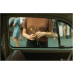 CineStill 50Daylight 135/36